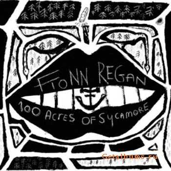 Fionn Regan - 100 Acres Of Sycamore (2011) Fionn Regan - 100 Acres Of Sycamore (2011)