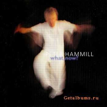 Peter Hammill - What, Now (2001) Peter Hammill - What, Now (2001)