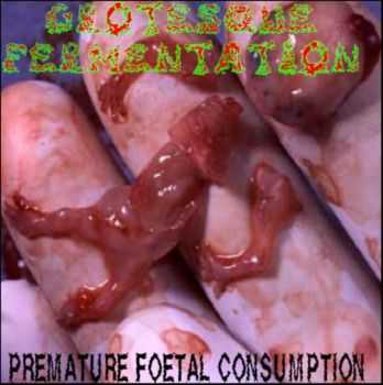 Grotesque Fermentation - Premature Foetal Consumption [Demo] (2011)