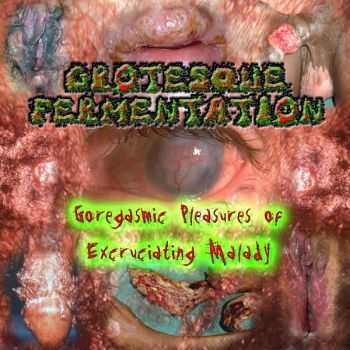 Grotesque Fermentation - Goregasmic Pleasures of Excruciating Malady (2011)
