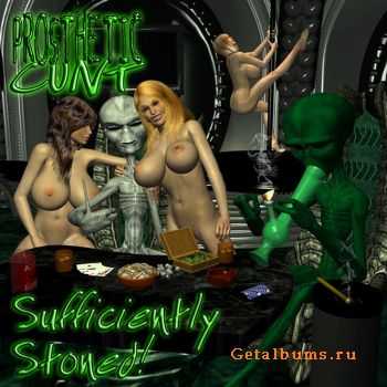 Prosthetic Cunt - Sufficiently Stoned (2009)