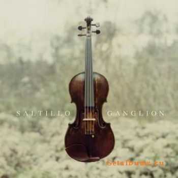 Saltillo - Ganglion (Reissue) (2011)