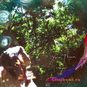 Cokiyu - Your Thorn (2011) Cokiyu - Your Thorn (2011)