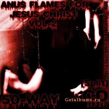 VA - Anus Flames For Jesus Christ Vol.2 (50 Way Split) (2011)