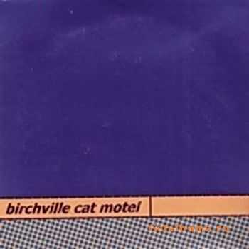 Birchville Cat Motel - Blankangelspace (1999)