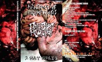 Putrefactive Endometriosis & Death Before Revolution - 2 way split (tape) (2010)