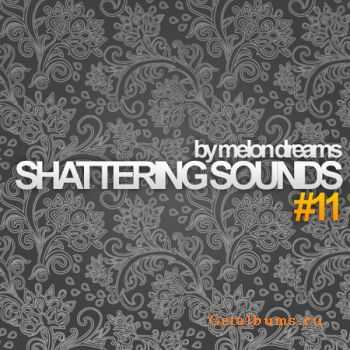 VA - Shattering Sounds #11 (2011)