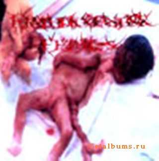 Erythrioblastosis Fetalis - Raping the Decapitated Infant Cadaver [demo] (2005)