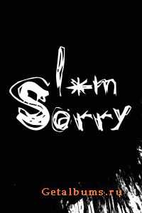 I'm sorry -     (single) (2011)