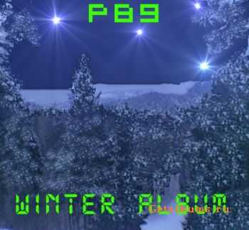 P89 - Winter Album (2012)
