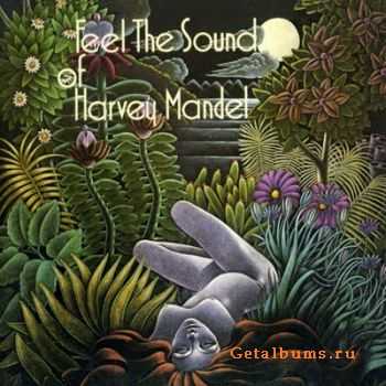 Harvey Mandel - Feel The Sound Of Harvey Mandel (1974)