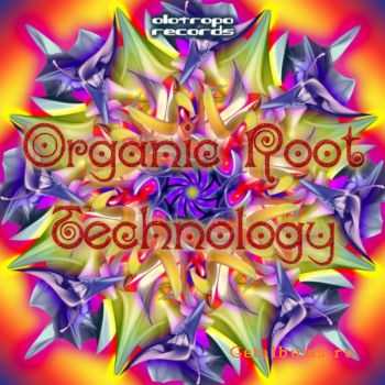 VA - Organic Root Technology (2011)