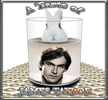 James Taylor - A Taste by Pete Hollow (2012)