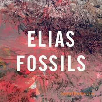 Elias - Fossils (2012) Elias - Fossils (2012)
