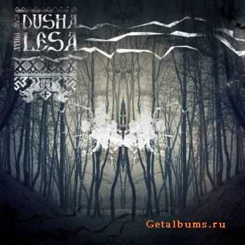 VA - Dusha Lesa (2011)