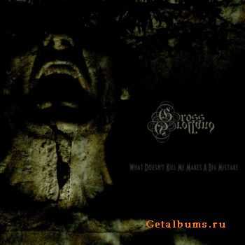 Gross Grolland - What Doesn't Kill Me Makes A Big Mistake (2012) Gross Grolland - What Doesn't Kill Me Makes A Big Mistake (2012)