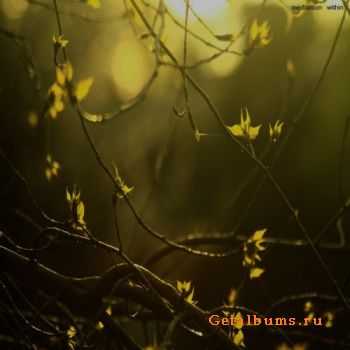 From Silence of Mars - Meditation Within (single) (2012) From Silence of Mars - Meditation Within (single) (2012)