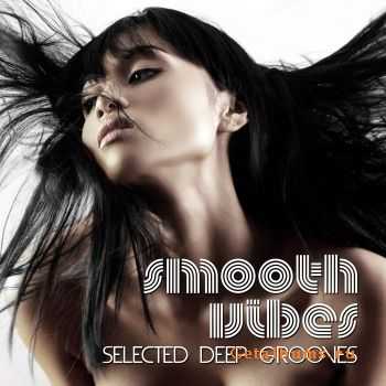 VA - Smooth Vibes (Selected Deep Grooves) (2011) VA - Smooth Vibes (Selected Deep Grooves) (2011)
