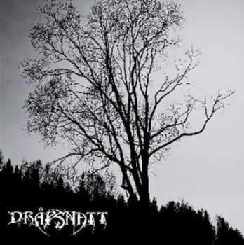 Drapsnatt - Skelepht (2012) Drapsnatt - Skelepht (2012)