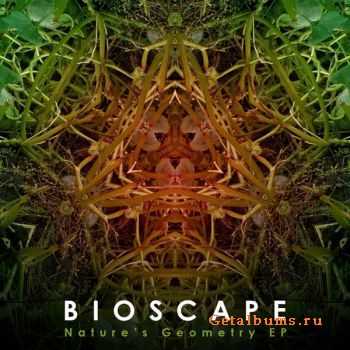 Bioscape – Nature's Geometry (2011) Bioscape – Nature's Geometry (2011)