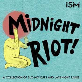 VA - Midnight Riot (2012)