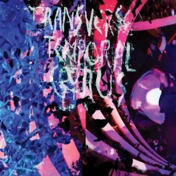 Animal Collective - Transverse Temporal Gyrus [EP] (2012)