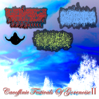 VCacofinic Festivals Of Gorenoise II [split] (2011)