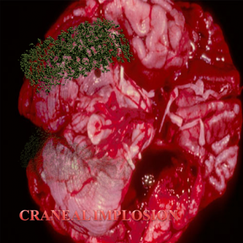 Endosimbiont Parasites - Craneal Implosion (2011)