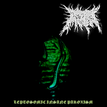Irreversteble Brain Damaged Opulency - Leptosomic Insane Paroxism [demo] (2011)