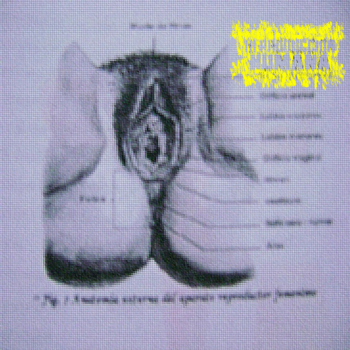 Reproduccion Humana - s/t [demo] (2010)