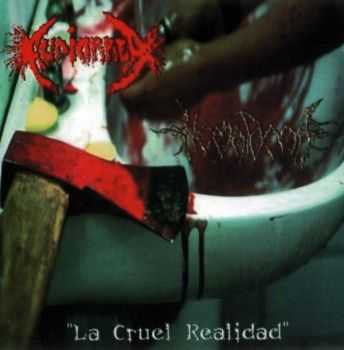 Hematoma & Audiorrea - La Cruel Realidad (Split) (2006)