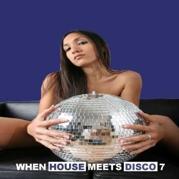 VA - When House Meets Disco, Vol.7 (2012)