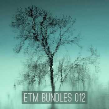 VA - Etm Bundles 012 (2012)