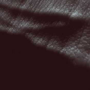 JK Flesh - Posthuman (2012) JK Flesh - Posthuman (2012)