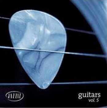 VA - Guitars Vol. 5 [Limited Edition] (2007)