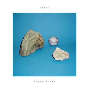 Tolga Fidan - Rogue (2012)