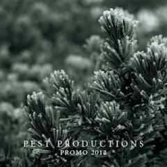 V.A. - Pest production - Promo 2012 (2012)