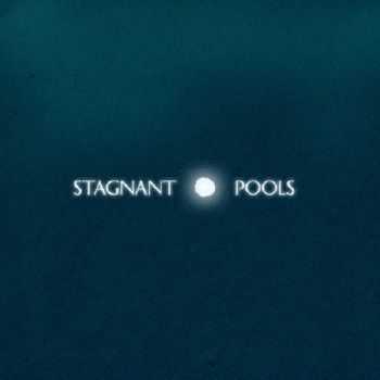 Stagnant Pools - Temporary Room (2012) 