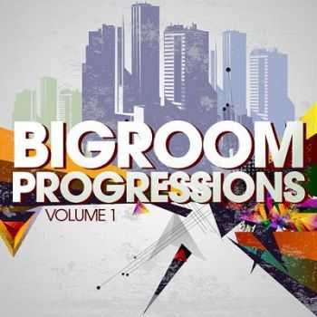 VA - Bigroom Progressions Vol.1 (2012)