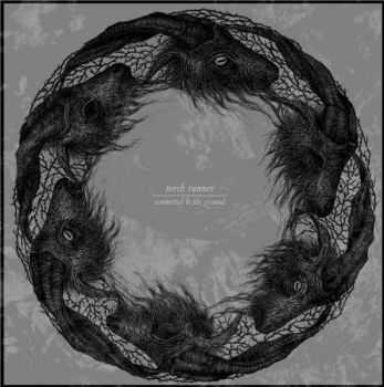 Torch Runner - Committed To The Ground (2012) Torch Runner - Committed To The Ground (2012)
