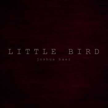 Joshua Baez - Little Bird (2012)