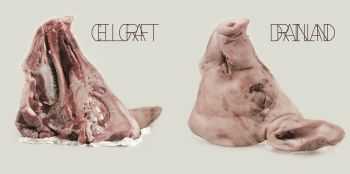 Drainland & Cellgraft - Split (2011) Drainland & Cellgraft - Split (2011)