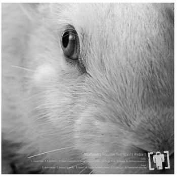 Skafandr  - Follow The White Rabbit  (2012)