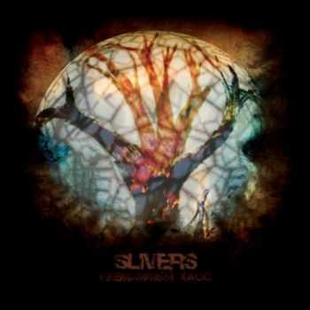 Slivers - Невидимый хаос (2012) Slivers - Невидимый хаос (2012)