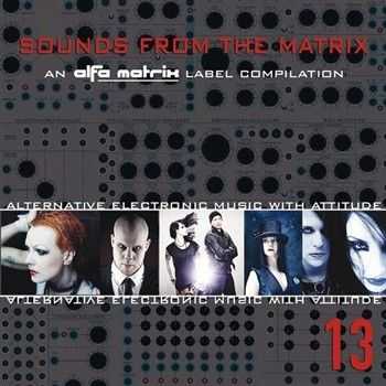 VA - Sounds From The Matrix 13 (2012)