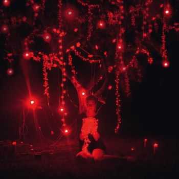 Sophie Hunger - The Danger of Light (Deluxe Edition) (2012) Sophie Hunger - The Danger of Light (Deluxe Edition) (2012)