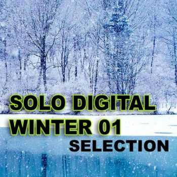 VA - Solo Digital Winter Selection 1 (2012)