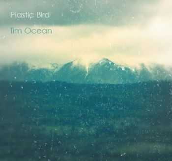 Plastic Bird & Tim Ocean - ocean birds (2012)