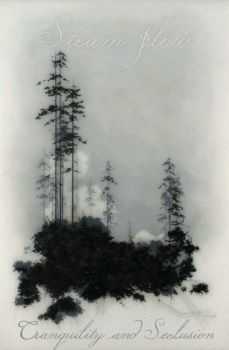Steam flow - Tranquility and Seclusion (2012) Steam flow - Tranquility and Seclusion (2012)
