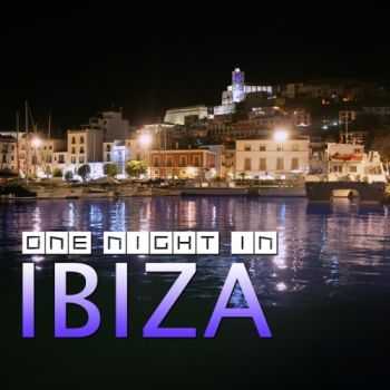 One Night In Ibiza (2011) One Night In Ibiza (2011)